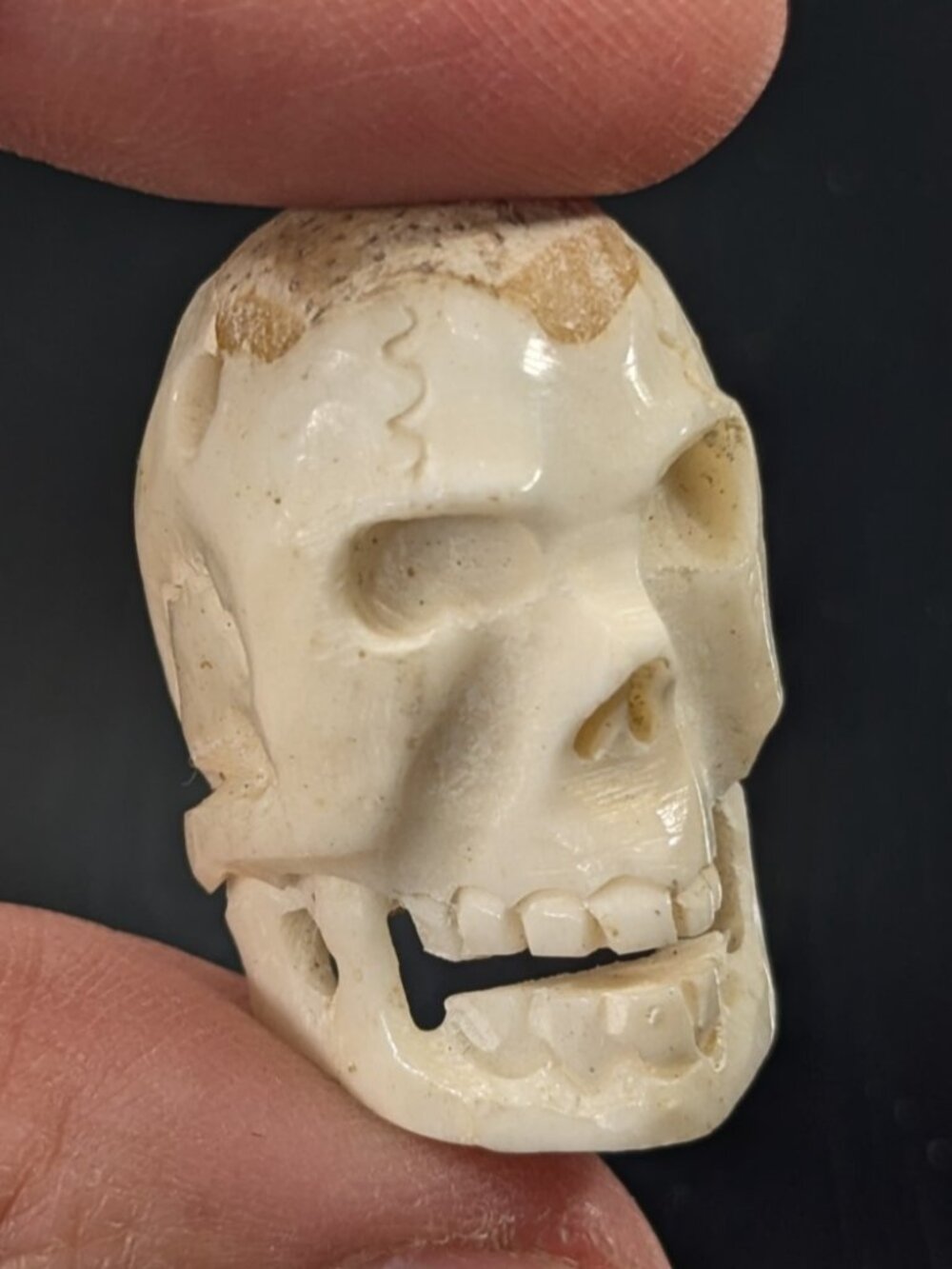 Vintage Memento Mori Deer Antler Carved Skull pendant, human skull bead
